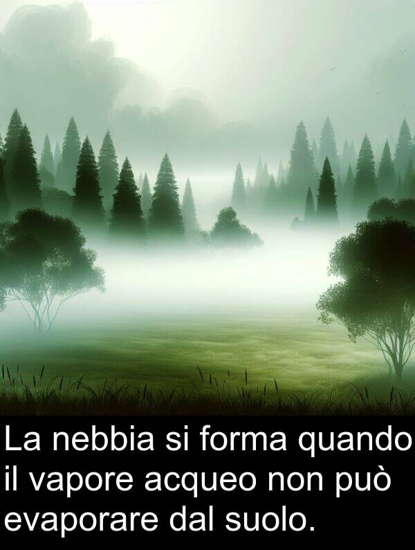 dal: La nebbia si forma quando il vapore acqueo non può evaporare dal suolo.
