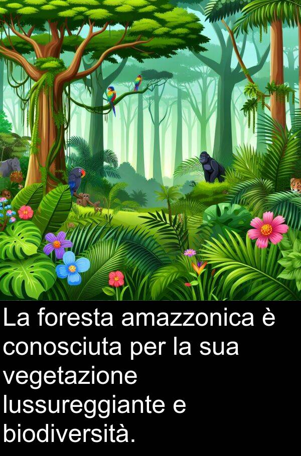 amazzonica: La foresta amazzonica è conosciuta per la sua vegetazione lussureggiante e biodiversità.