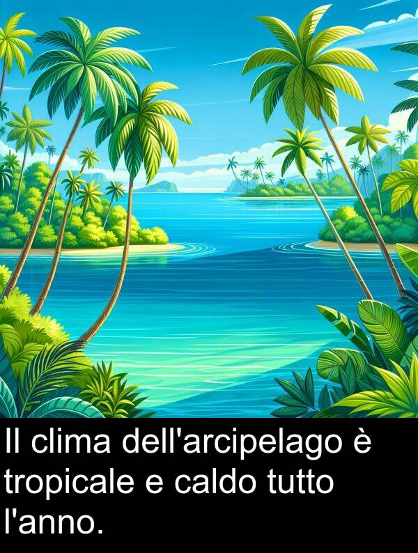 tropicale: Il clima dell'arcipelago è tropicale e caldo tutto l'anno.
