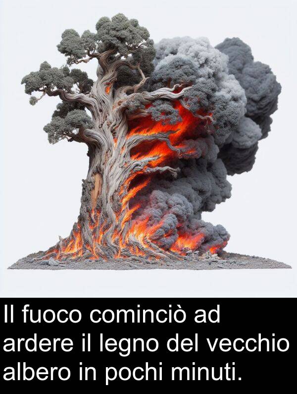 pochi: Il fuoco cominciò ad ardere il legno del vecchio albero in pochi minuti.