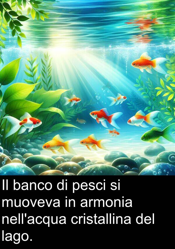 lago: Il banco di pesci si muoveva in armonia nell'acqua cristallina del lago.