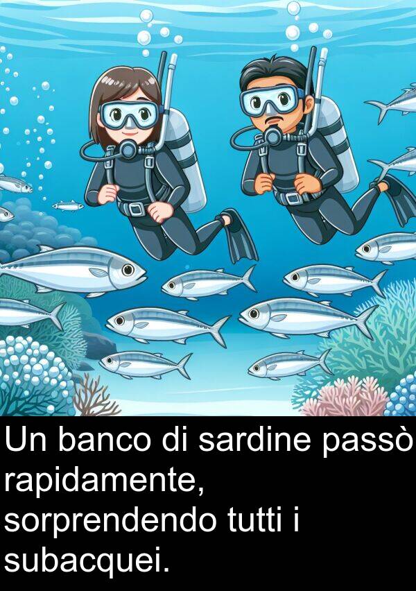 rapidamente: Un banco di sardine passò rapidamente, sorprendendo tutti i subacquei.