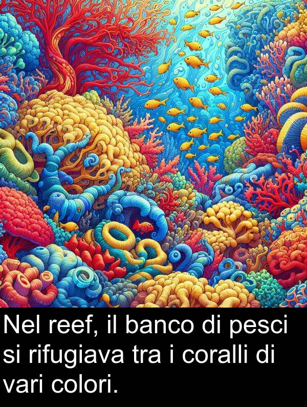 colori: Nel reef, il banco di pesci si rifugiava tra i coralli di vari colori.