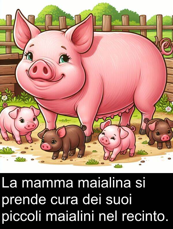 recinto: La mamma maialina si prende cura dei suoi piccoli maialini nel recinto.