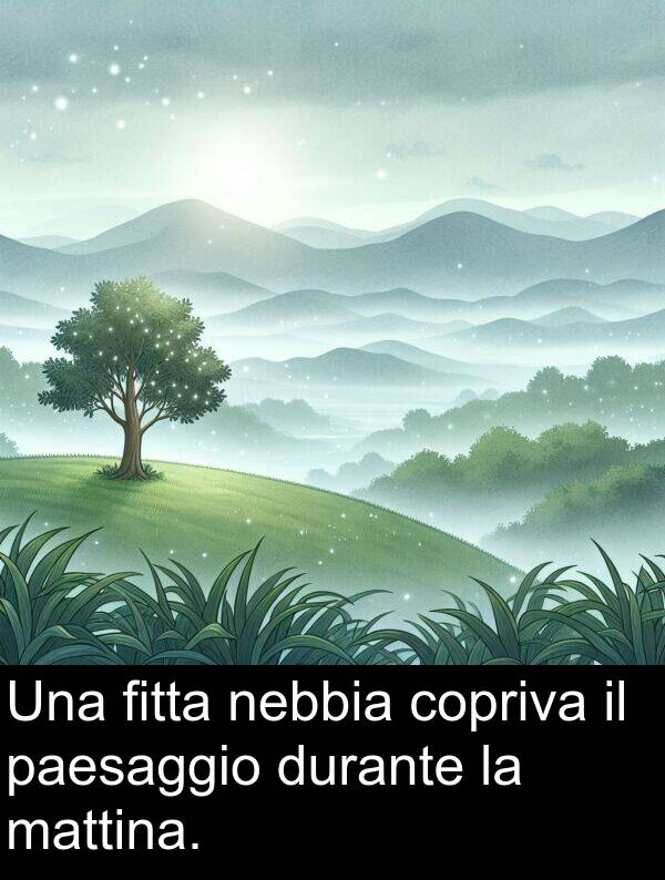 durante: Una fitta nebbia copriva il paesaggio durante la mattina.