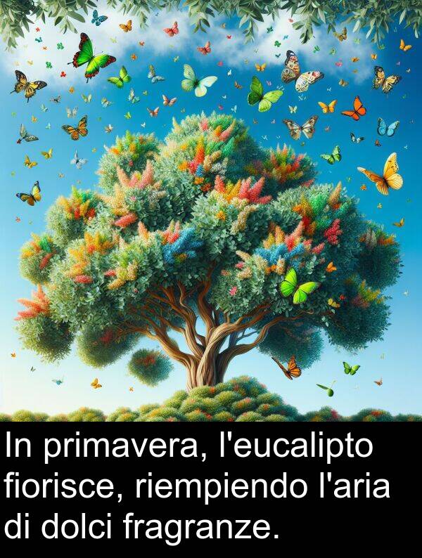 fiorisce: In primavera, l'eucalipto fiorisce, riempiendo l'aria di dolci fragranze.