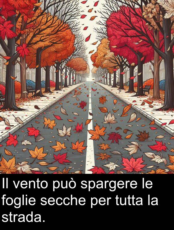 vento: Il vento può spargere le foglie secche per tutta la strada.