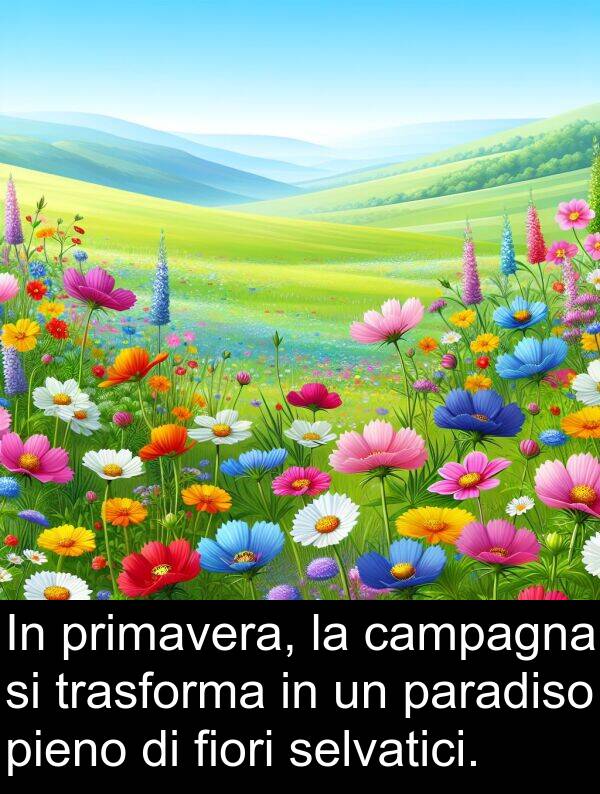 trasforma: In primavera, la campagna si trasforma in un paradiso pieno di fiori selvatici.