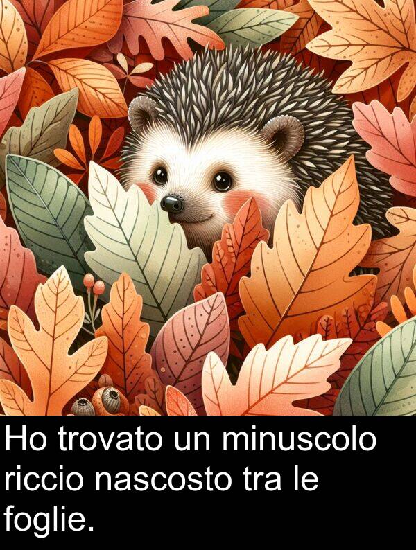 tra: Ho trovato un minuscolo riccio nascosto tra le foglie.