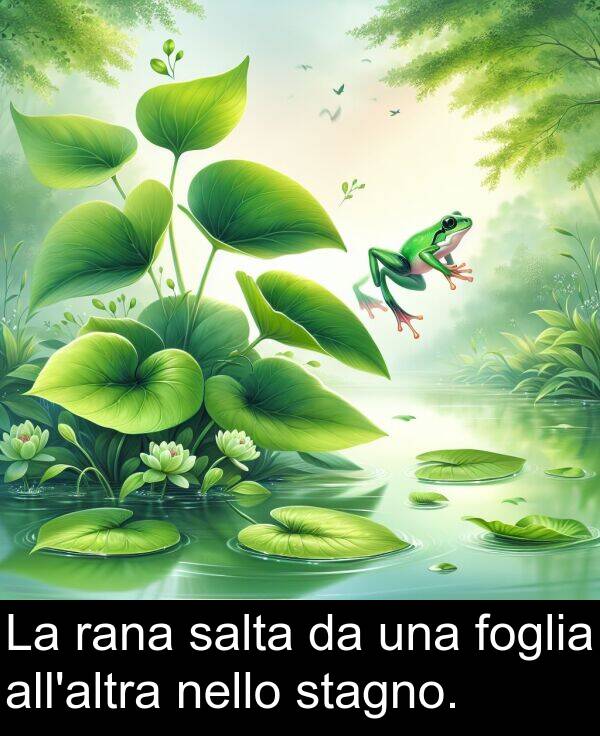 salta: La rana salta da una foglia all'altra nello stagno.