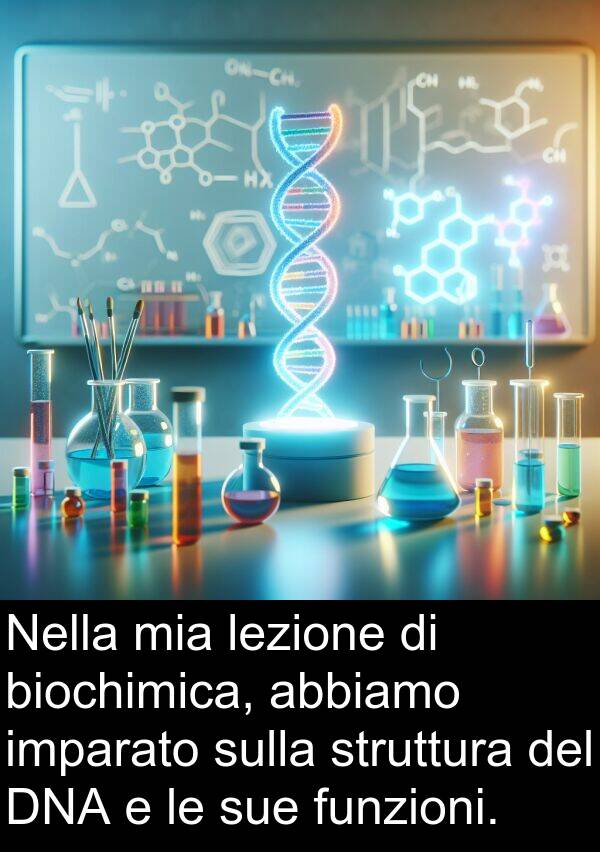 imparato: Nella mia lezione di biochimica, abbiamo imparato sulla struttura del DNA e le sue funzioni.
