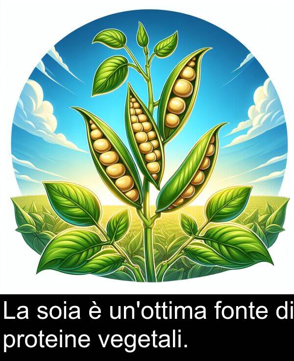 vegetali: La soia è un'ottima fonte di proteine vegetali.