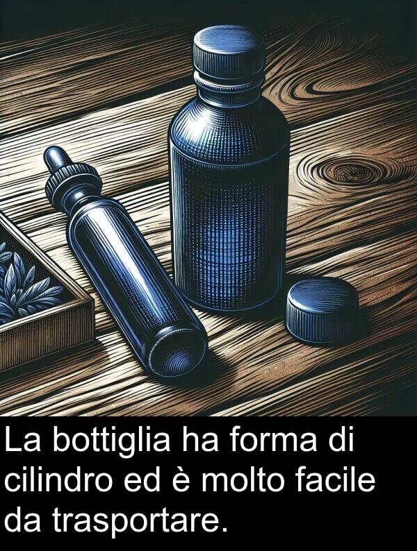 trasportare: La bottiglia ha forma di cilindro ed è molto facile da trasportare.