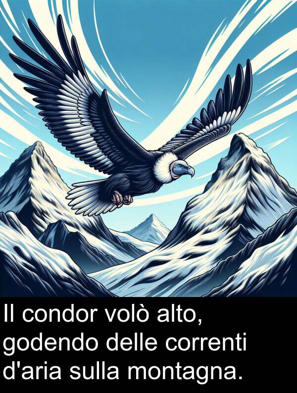 condor: Il condor volò alto, godendo delle correnti d'aria sulla montagna.