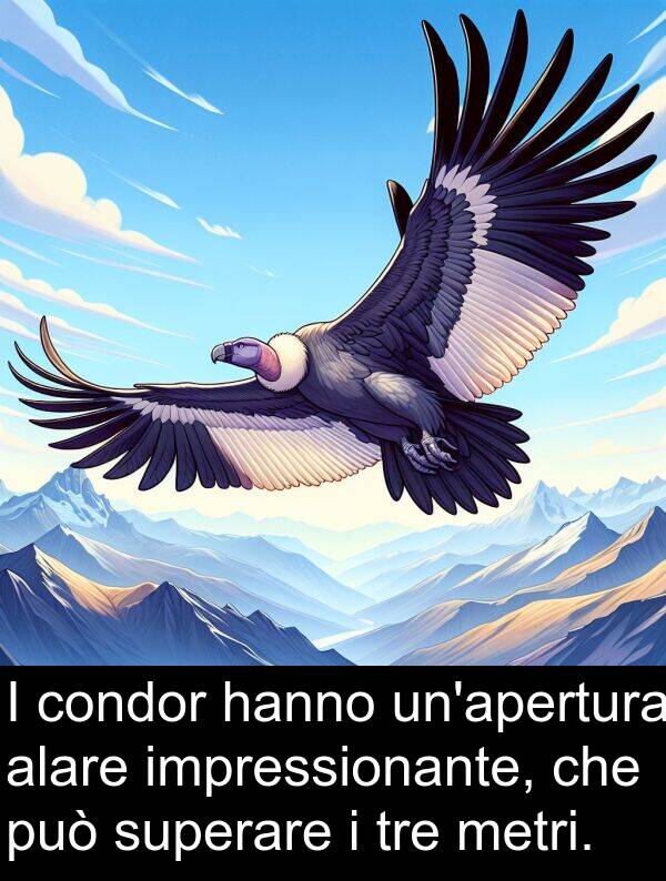 condor: I condor hanno un'apertura alare impressionante, che può superare i tre metri.