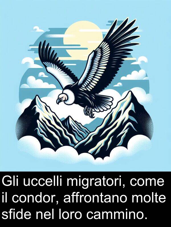 condor: Gli uccelli migratori, come il condor, affrontano molte sfide nel loro cammino.