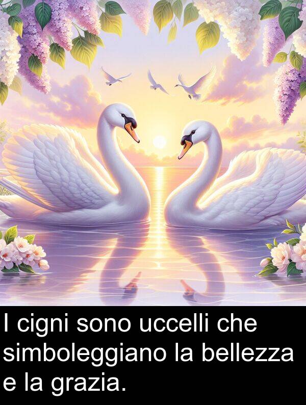 bellezza: I cigni sono uccelli che simboleggiano la bellezza e la grazia.