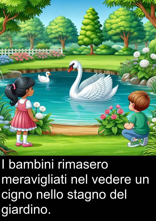 vedere: I bambini rimasero meravigliati nel vedere un cigno nello stagno del giardino.