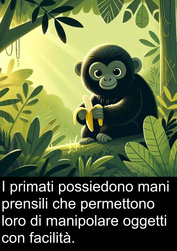 facilità: I primati possiedono mani prensili che permettono loro di manipolare oggetti con facilità.