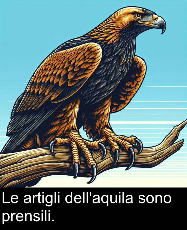 artigli: Le artigli dell'aquila sono prensili.