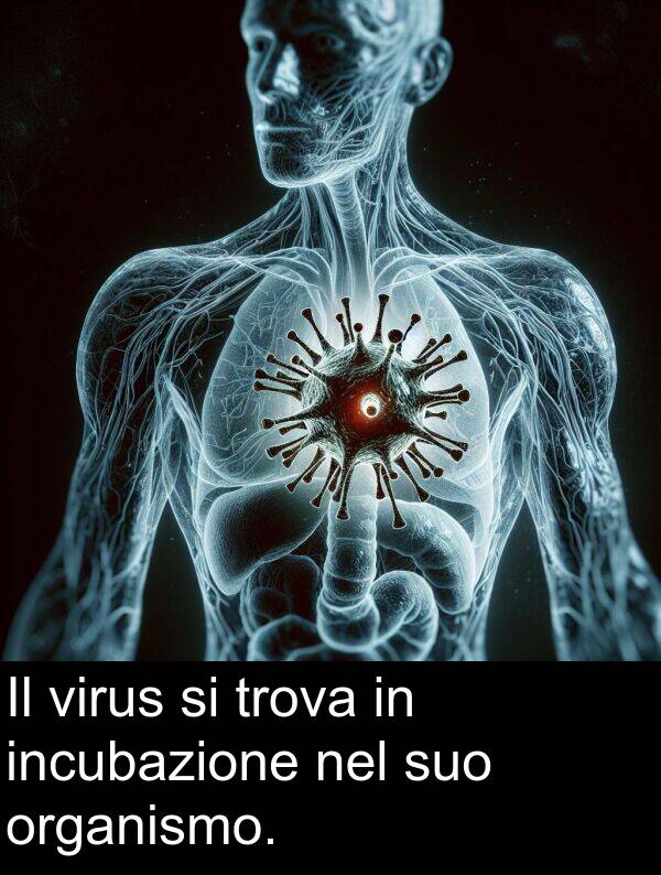 trova: Il virus si trova in incubazione nel suo organismo.