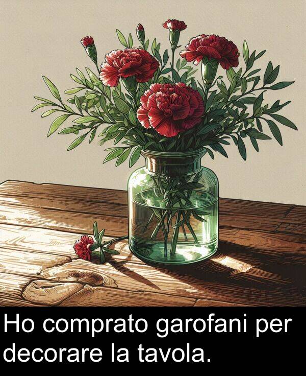 garofani: Ho comprato garofani per decorare la tavola.