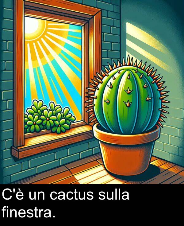 finestra: C'è un cactus sulla finestra.