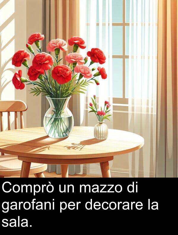garofani: Comprò un mazzo di garofani per decorare la sala.