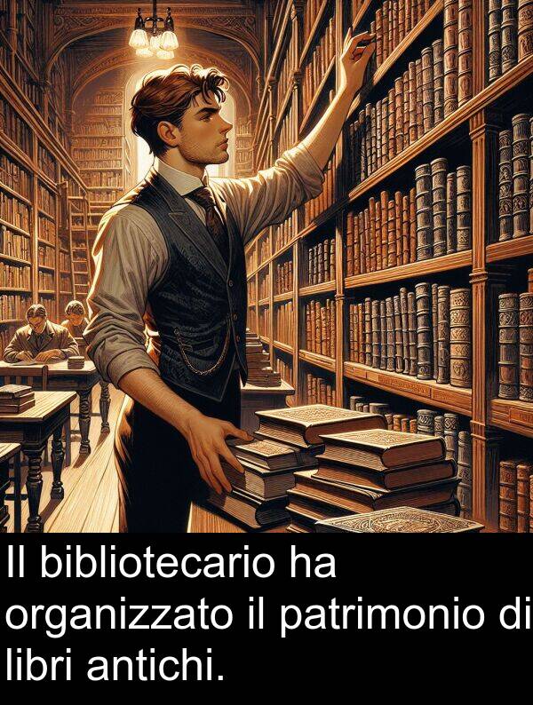 bibliotecario: Il bibliotecario ha organizzato il patrimonio di libri antichi.