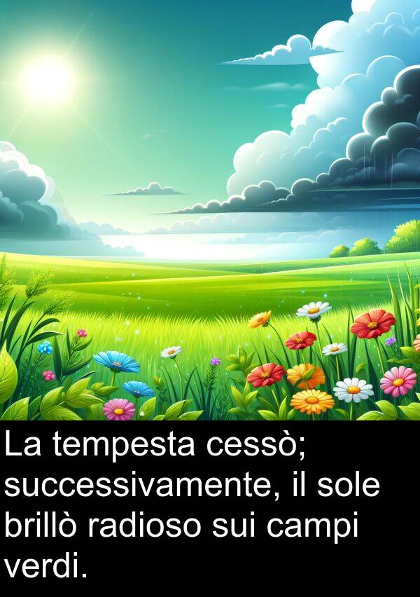 radioso: La tempesta cessò; successivamente, il sole brillò radioso sui campi verdi.