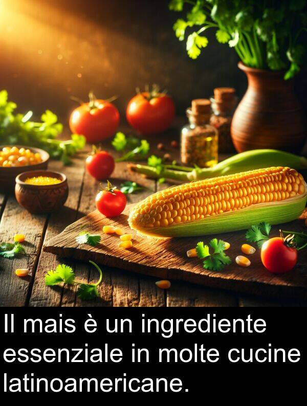latinoamericane: Il mais è un ingrediente essenziale in molte cucine latinoamericane.