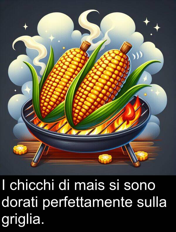 dorati: I chicchi di mais si sono dorati perfettamente sulla griglia.