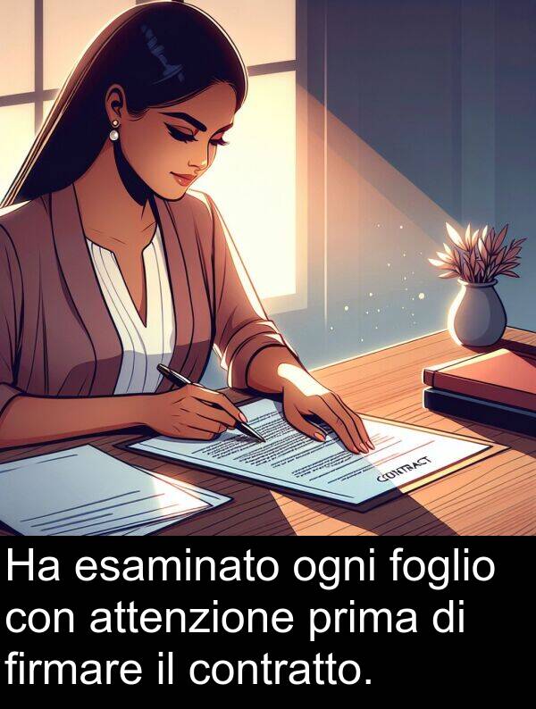 ogni: Ha esaminato ogni foglio con attenzione prima di firmare il contratto.