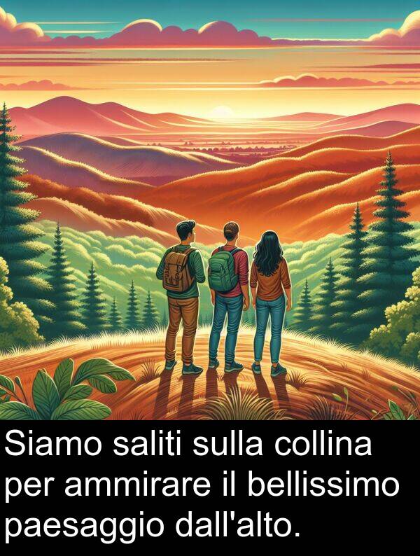 ammirare: Siamo saliti sulla collina per ammirare il bellissimo paesaggio dall'alto.