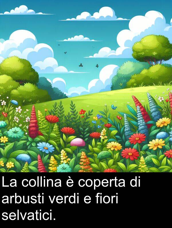 coperta: La collina è coperta di arbusti verdi e fiori selvatici.