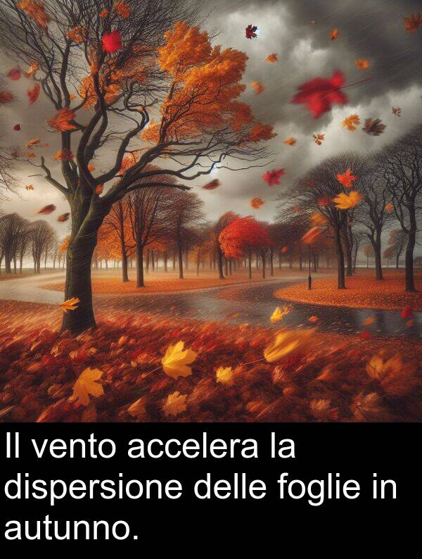 vento: Il vento accelera la dispersione delle foglie in autunno.