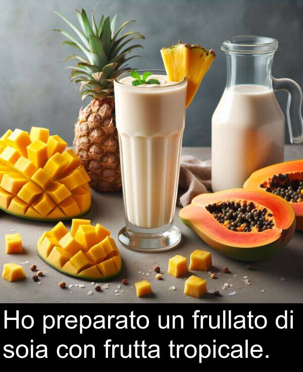 tropicale: Ho preparato un frullato di soia con frutta tropicale.