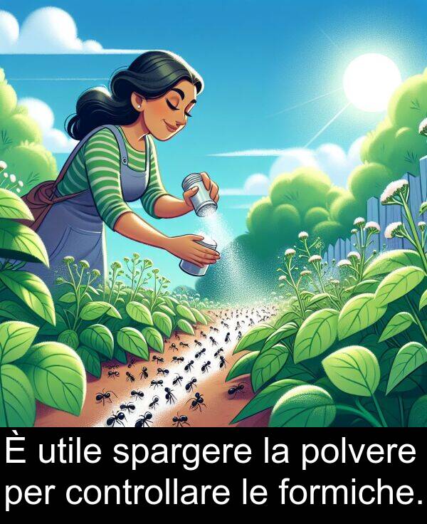 spargere: È utile spargere la polvere per controllare le formiche.