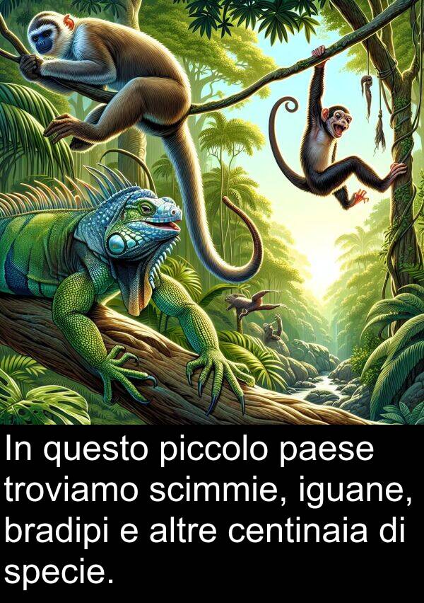 questo: In questo piccolo paese troviamo scimmie, iguane, bradipi e altre centinaia di specie.