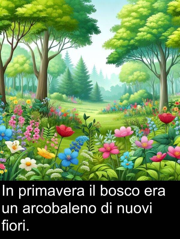 fiori: In primavera il bosco era un arcobaleno di nuovi fiori.