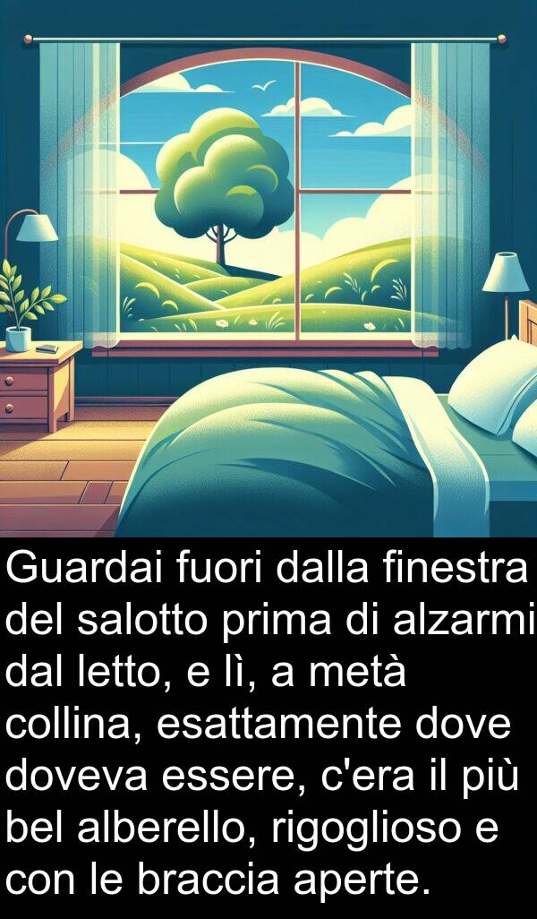 bel: Guardai fuori dalla finestra del salotto prima di alzarmi dal letto, e lì, a metà collina, esattamente dove doveva essere, c'era il più bel alberello, rigoglioso e con le braccia aperte.