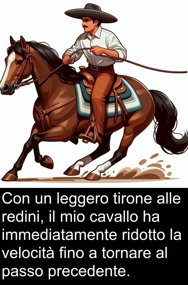immediatamente: Con un leggero tirone alle redini, il mio cavallo ha immediatamente ridotto la velocità fino a tornare al passo precedente.