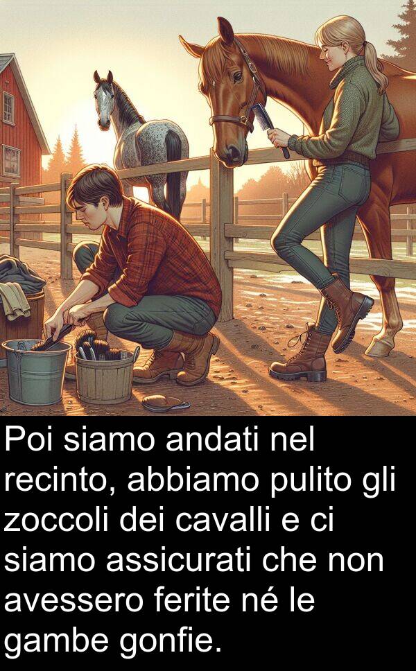 cavalli: Poi siamo andati nel recinto, abbiamo pulito gli zoccoli dei cavalli e ci siamo assicurati che non avessero ferite né le gambe gonfie.