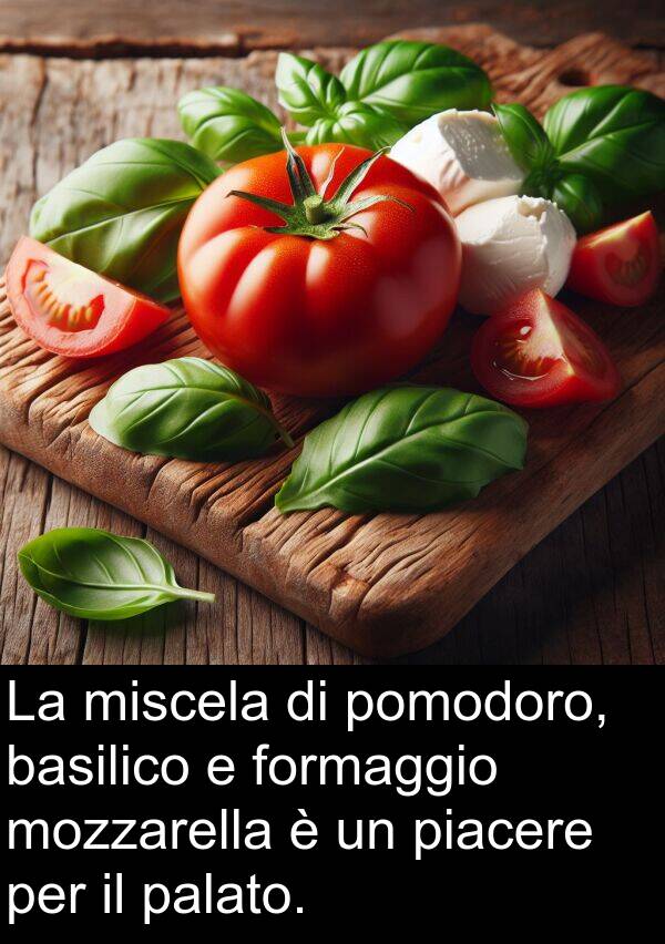 basilico: La miscela di pomodoro, basilico e formaggio mozzarella è un piacere per il palato.