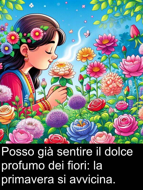 sentire: Posso già sentire il dolce profumo dei fiori: la primavera si avvicina.