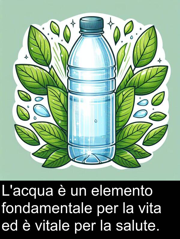 elemento: L'acqua è un elemento fondamentale per la vita ed è vitale per la salute.