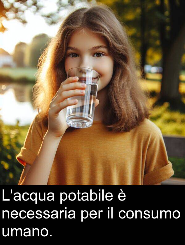 umano: L'acqua potabile è necessaria per il consumo umano.