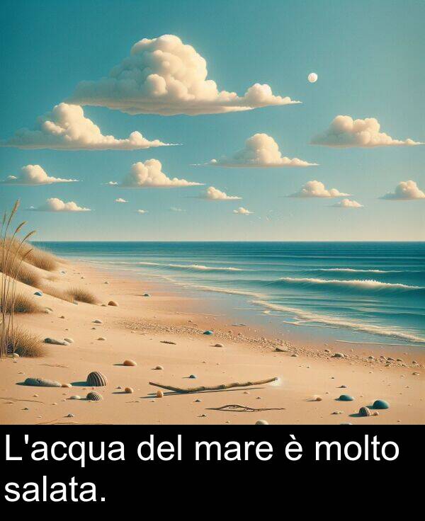 salata: L'acqua del mare è molto salata.