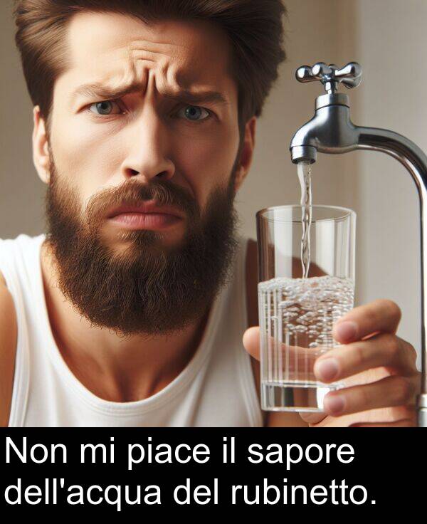 piace: Non mi piace il sapore dell'acqua del rubinetto.
