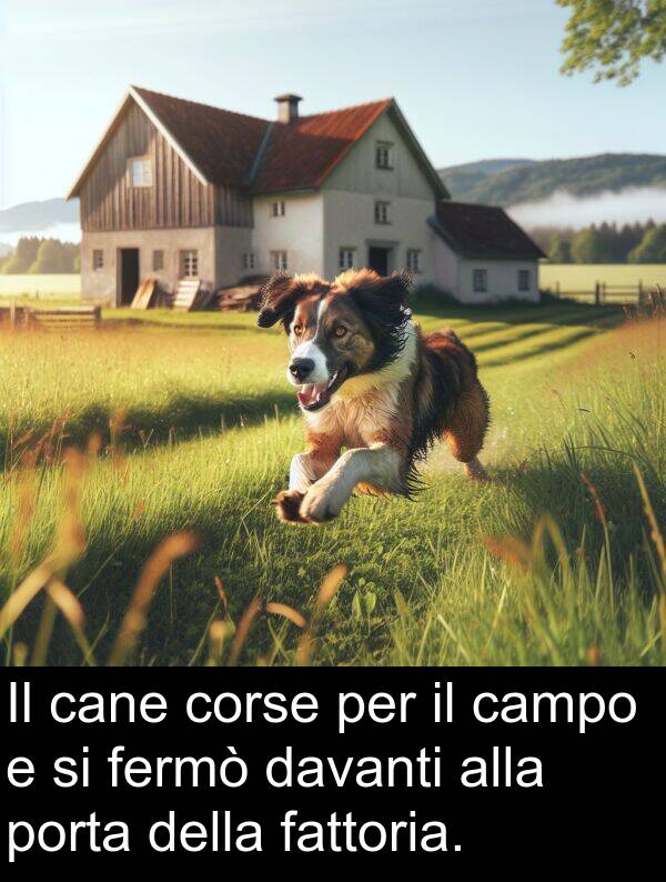 cane: Il cane corse per il campo e si fermò davanti alla porta della fattoria.